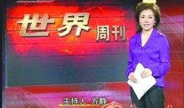 爆料新闻的主持人有哪些,揭秘幕后英雄