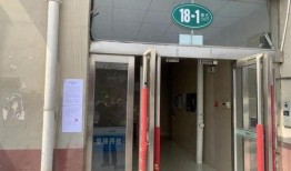 卖惨夫妇爆料现场视频,真实情感与表演界限的探讨