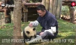 加菲最新爆料视频大全,揭秘娱乐圈幕后真相