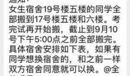 财经学院最新爆料信息网,最新爆料信息网深度解析