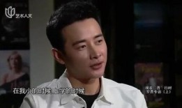 罗晋爆料片酬多少钱啊视频,巨额收入背后的辛酸与付出