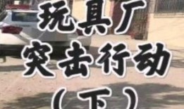 打假爆料玩具视频,打假爆料视频揭露惊人内幕