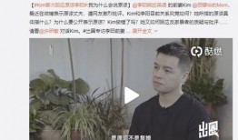顾城前妻爆料视频,一段尘封的婚姻往事