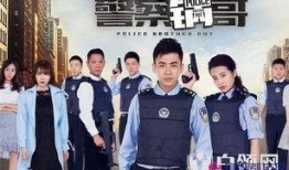 在线观看警察锅哥全集,正义与智慧的较量