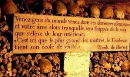 巴黎地下坟场在线观看,探寻巴黎地下墓穴的神秘之旅