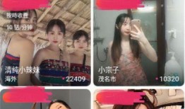 散打爆料情感主播视频播放,揭秘幕后情感直播幕后故事