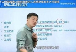 武大爆料张雪峰视频播放,张雪峰视频引发热议，揭秘考研真相与误区