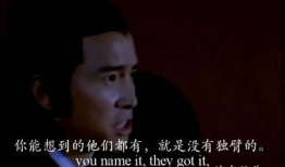 独臂双雄 在线观看,逆境中的传奇英雄