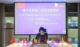 菲律宾副部长爆料视频,揭露政坛黑幕与权力斗争