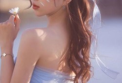 初犬全集在线观看,热血青春，热血格斗的激情岁月