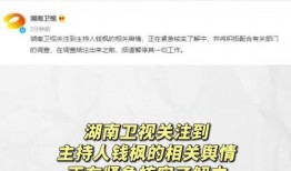 娱乐圈吃瓜帖子大全,吃瓜帖子大全深度解读