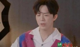 吃瓜网红王力宏是谁