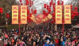 新春园林爆料视频大全,视频大全带你领略园林之美
