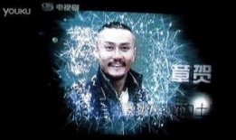 情仇姐妹电视剧全集在线观看,爱恨交织的家族恩怨