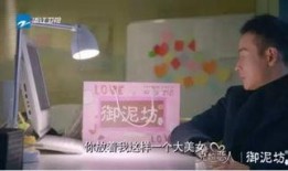 罗晋爆料片酬多少钱啊视频,巨额收入背后的辛酸与付出