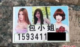 包小姐在线观看,揭秘网络直播的魅力与挑战
