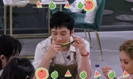 娱乐圈吃瓜吐槽,揭秘明星幕后真相，笑谈八卦吐槽盛宴