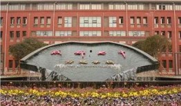 成都七中最新爆料,揭秘校园风云再起背后的故事