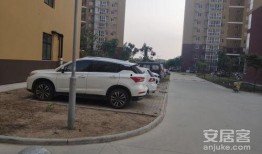 南阳龙锦嘉园最新爆料,揭秘神秘项目背后的惊喜与挑战