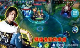 大仙粉丝爆料视频大全集,揭秘幕后故事与精彩瞬间