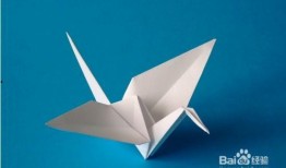 怎样爆料短视频题材呢,揭秘短视频爆料题材的创意秘诀