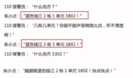 大连东港爆料案件最新,真相浮出水面，疑云终散