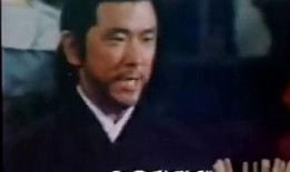 独臂双雄 在线观看,逆境中的传奇英雄