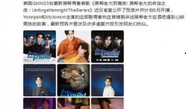 泰娱最新爆料新闻,明星恋情曝光，幕后真相令人震惊