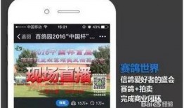 视频变现热点爆料怎么弄,爆款内容制作攻略