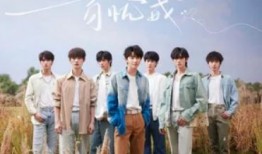 时代少年团曲目爆料最新,揭秘神秘曲目背后的青春旋律