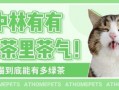吃瓜娱乐绿茶猫,揭秘娱乐圈背后的秘密