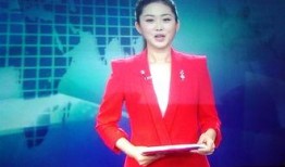 爆料新闻的主持人有哪些,揭秘幕后英雄