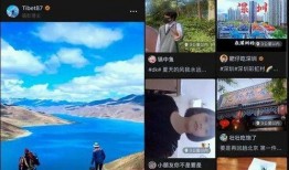 视频号爆料,揭秘热门事件背后真相