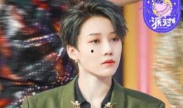 娱乐大爆料 刘雨昕小说,刘雨昕小说中的璀璨星途