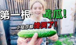 吃瓜丈母娘电视剧免费,揭秘现代家庭甜蜜“战事”