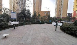 南阳龙锦嘉园最新爆料,揭秘神秘项目背后的惊喜与挑战