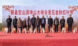 河南都市爆料郏县新闻报道,聚焦民生热点，报道百姓心声