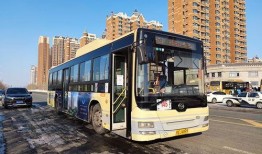 145路公交车爆料视频,乘客爆料视频引网友热议