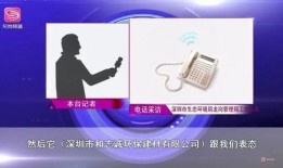 龙岗爆料新闻事件视频,最新事件视频曝光，真相究竟如何？