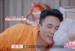 杜淳王灿圈内爆料是哪一期,揭秘娱乐圈不为人知的真相