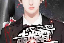 娱乐圈爆料小郭小说,揭秘小郭背后的秘密与传奇