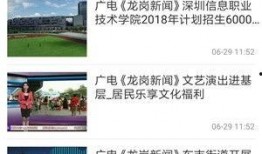 龙岗爆料新闻事件视频,最新事件视频曝光，真相究竟如何？