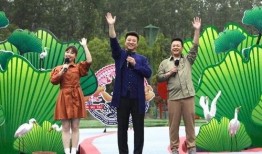 鹏哥爆料司机视频大全最新,最新司机视频大全，一窥行业真实面貌