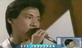 圈内人爆料张学友,揭秘幕后惊人真相