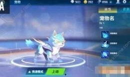 宠物最新爆料qq飞车