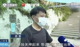 网红吃瓜兄妹,揭秘娱乐圈幕后真相