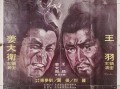 独臂双雄 在线观看,逆境中的传奇英雄