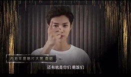 神偷李华爆料视频大全集,揭秘视频大全集背后的惊险传奇