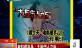 沈阳精彩爆料新闻报道,揭秘城市生活新鲜事