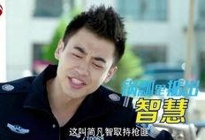 在线观看警察锅哥全集,正义与智慧的较量